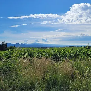 Le Willow Chateauneuf-du-Pape